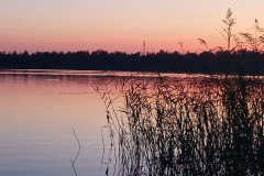 IMG_20230909_200445