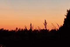 IMG_20230909_201127