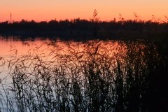 IMG_20230909_201141