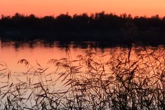 IMG_20230909_201154