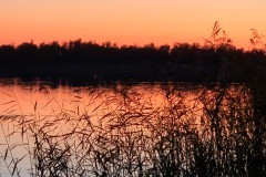 IMG_20230909_201211