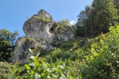 IMG_20230826_125841