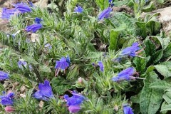 IMG_20230826_132403