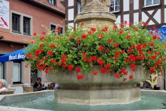 IMG_20230826_141131