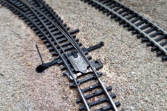 IMG_20240517_093357