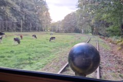 IMG_20240929_171248
