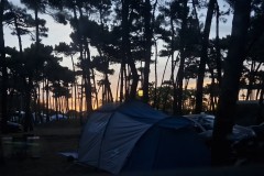 IMG_20250602_052715