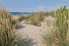 IMG_20250602_174038