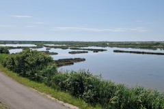 IMG_20250603_105012