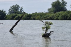 IMG_20250604_161008