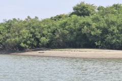IMG_20250604_162947