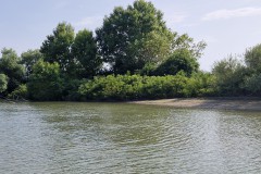 IMG_20250604_171204