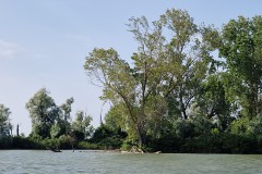 IMG_20250604_172739