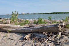 IMG_20250604_181347