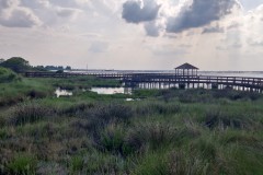 IMG_20250606_173246