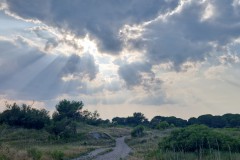 IMG_20250606_182225