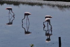 IMG_20250607_132534