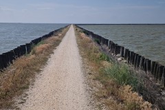 IMG_20250607_161638