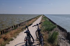 IMG_20250607_170325