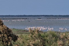 IMG_20250607_172525