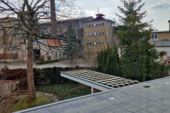 IMG_20250315_134501