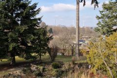 IMG_20250315_141340