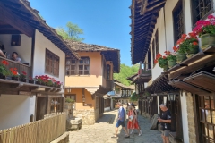 IMG_20250713_120044