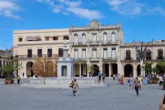 IMG_20241129_110133