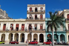 IMG_20241129_142340