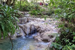 IMG_20241205_110543
