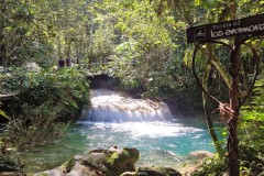 IMG_20241205_111031
