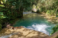 IMG_20241205_111223