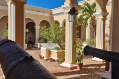IMG_20241207_111529