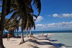 IMG_20241208_122253
