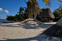 IMG_20241208_135716