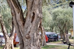 IMG_20230921_130730
