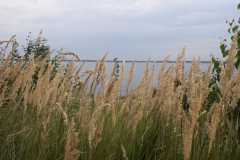 IMG-20210822-WA0002