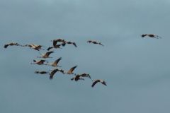 DSCN7059_2