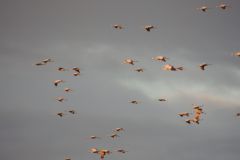 DSCN7064