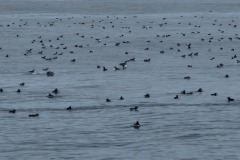 image104