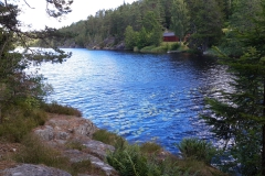 IMG_20220709_123904