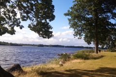 IMG_20220714_181500